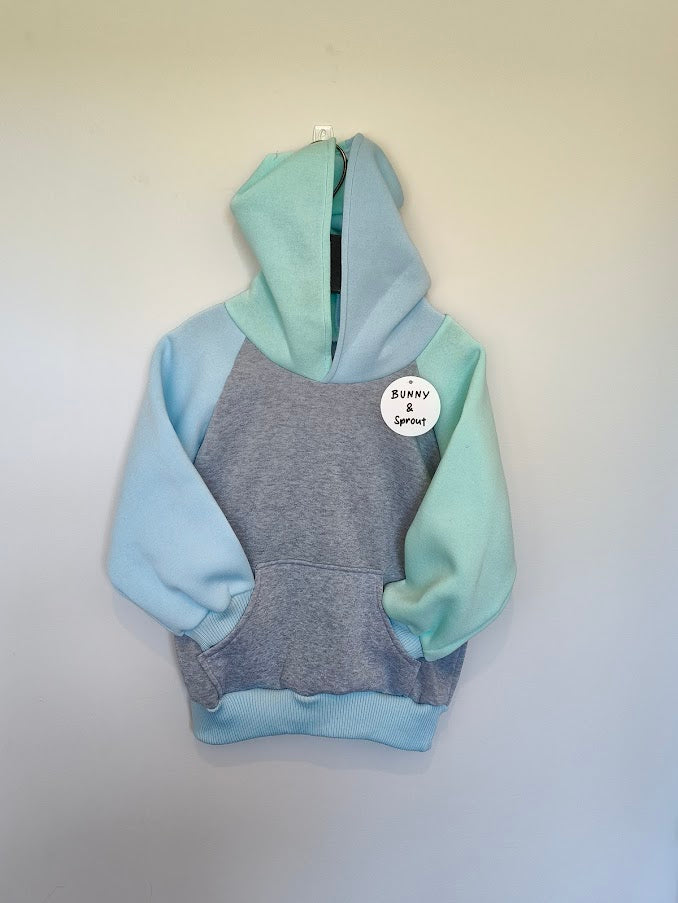 Colour block Hoodie